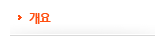 개요